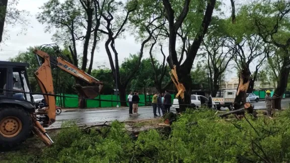 Una intensa tormenta en Concordia causó la caída de árboles y postes, afectando a varias familias en la zona.