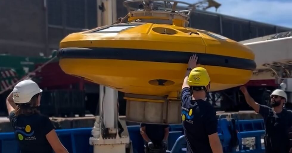 Nueva expedición científica en el Mar Argentino: detalles y cómo seguirla en vivo