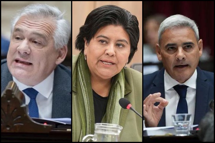 Tres diputados cuyo mandato está por concluir se presentan como candidatos para el cargo de Defensor del Pueblo en Argentina.