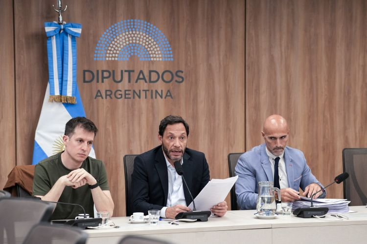 La Comisión Investigadora de $LIBRA identificó conexiones financieras directas entre Terrones Godoy, Novelli, KIP Protocol y $LIBRA.