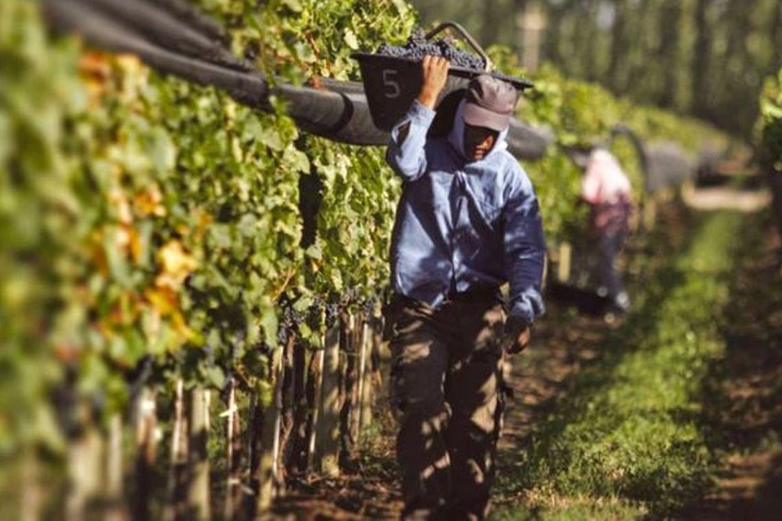 El Gobierno extendió el decreto que permite compatibilizar planes sociales con trabajo rural registrado.