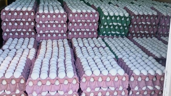 Decomisaron 36 mil huevos sin documentación sanitaria que eran transportados a Concordia