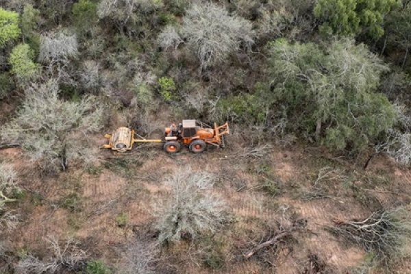 “En Argentina aumenta la preocupación por la deforestación.”