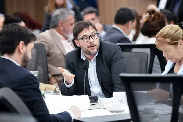 “Confiamos en que la Cámara Federal anule la decisión del juez”, afirmó Agost Carreño sobre la citación a Karina Milei.