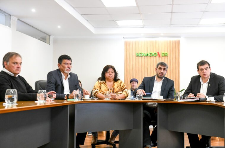 Juicio por Jurados: dictamen favorable en el Senado para los cambios